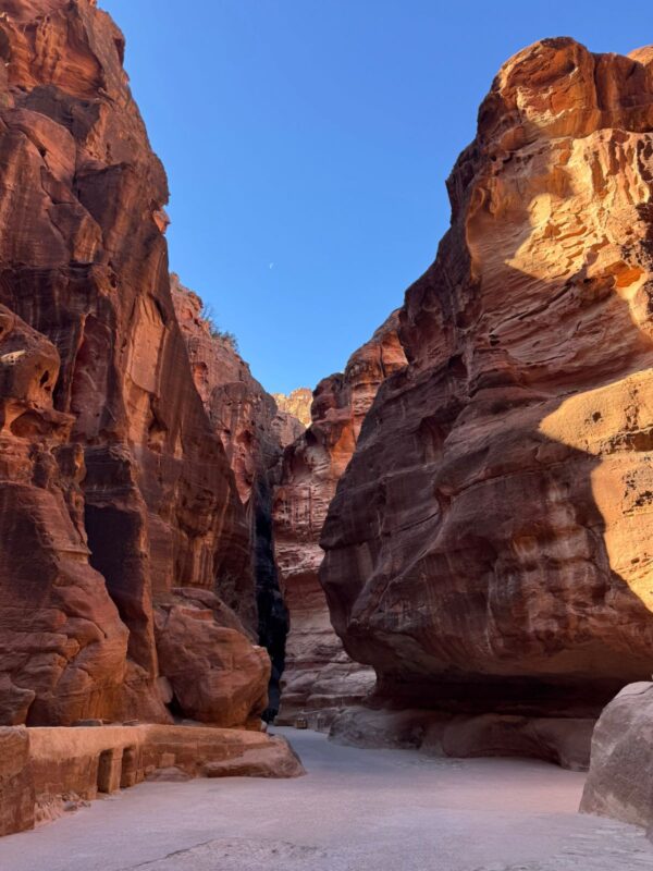 WhatsApp Image 2024-12-26 at 11.52.57 AM (1)