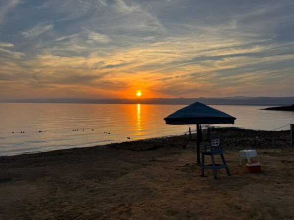 WhatsApp Image 2024-12-26 at 11.52.57 AM (3)